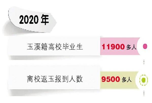 措施|促进高校毕业生就业创业，玉溪这么干