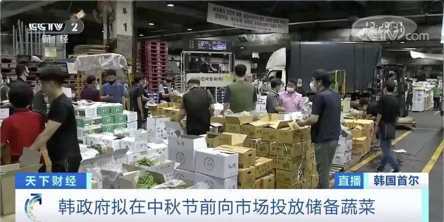 白菜|韩国两伙盗贼在同一块地里偷菜 咋回事儿？