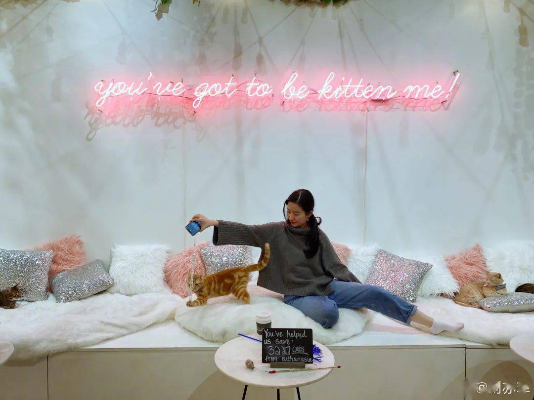 状态|长大以后,喜欢的好像不是刘亦菲的美貌了 | 晚安