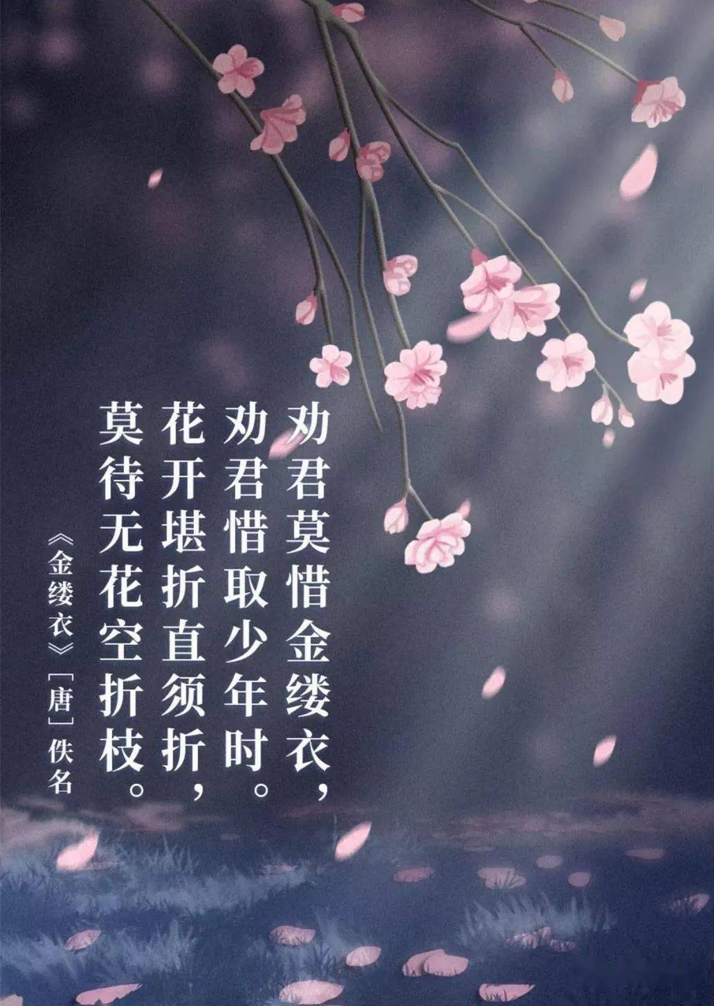 花开堪折直须折,莫待无花空折枝