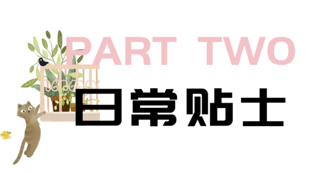 文章配图-6