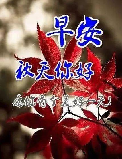 秋天微信早上好说说 漂亮的枫叶早安图片带字带祝福语