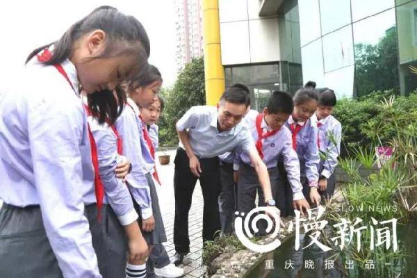 教育课|慢新闻 | 从学习到梦想有多远？这堂家长主讲的生活教育课告诉学生语数外与远方的结合