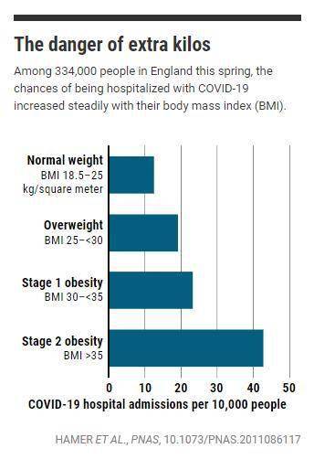 患者|Science News:胖子比瘦子感染SARS-CoV-2更致命，肥胖症患者感染死亡可能性高达48%
