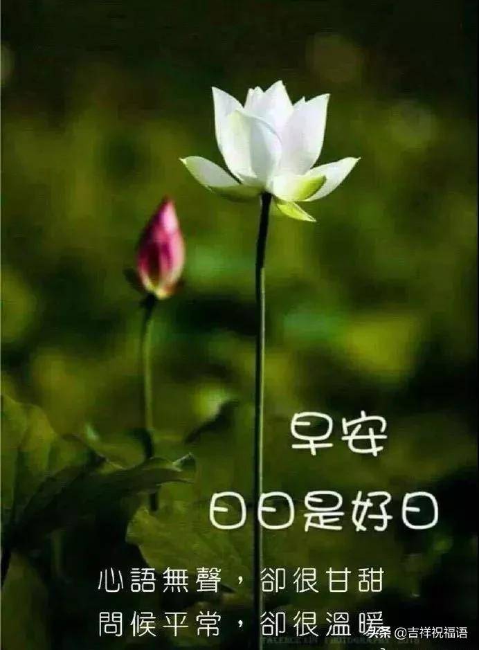 生容易,活容易,生活不容易,人活着真好.早安