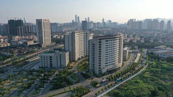 张文宏|张文宏被奖励一套别墅+1200万现金+5000万研究资金？当地和本人回应了