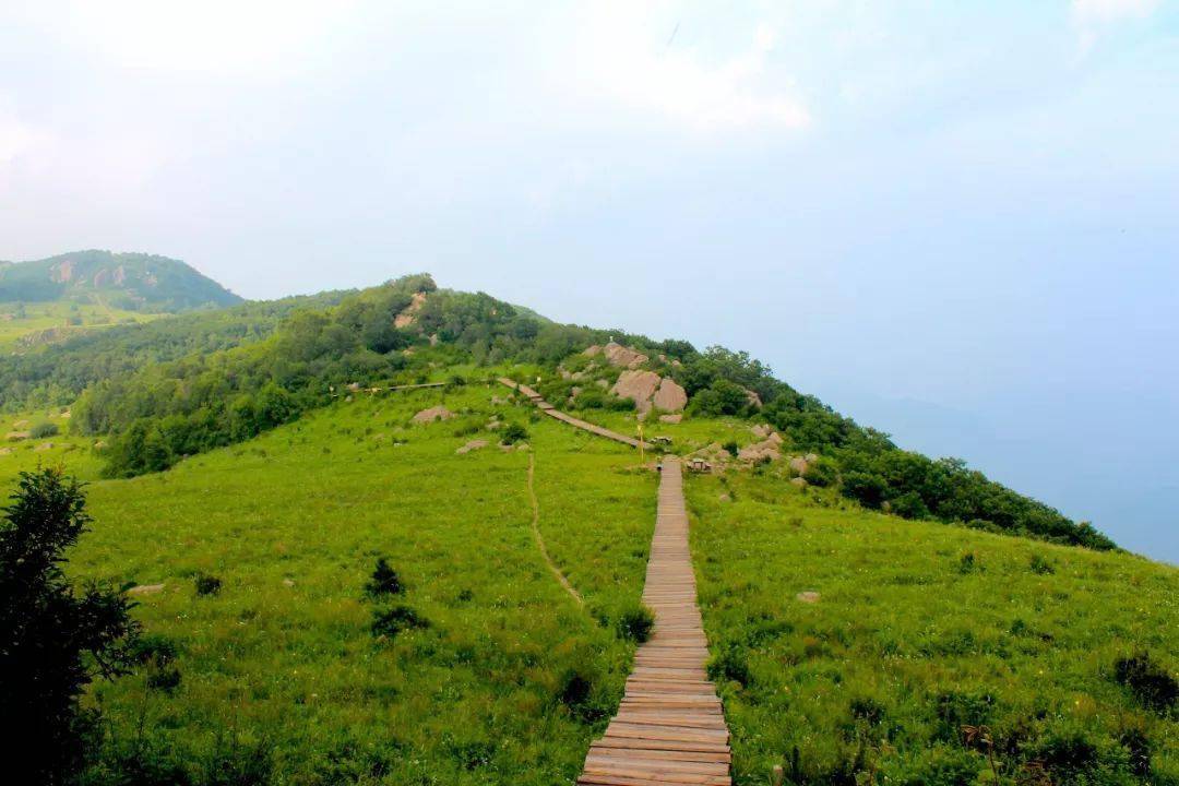 霞云岭白草畔,绿海观云,找寻心中的"世外桃源!_山顶