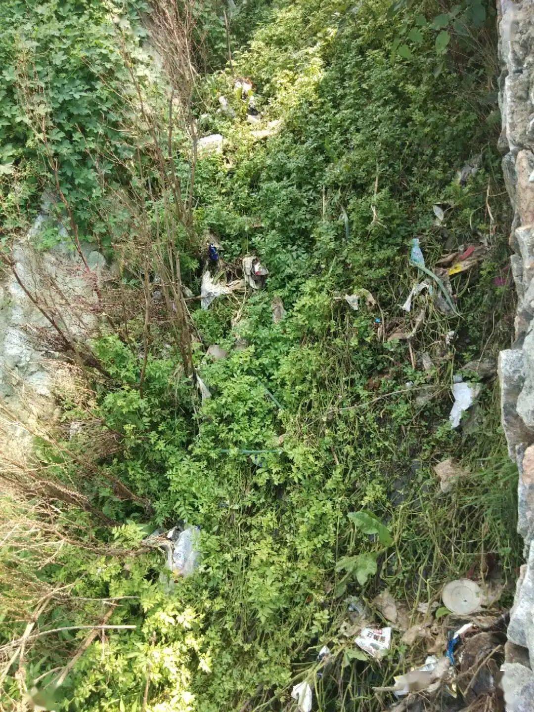 周疃村人口_曲周县安寨镇柳疃村(2)
