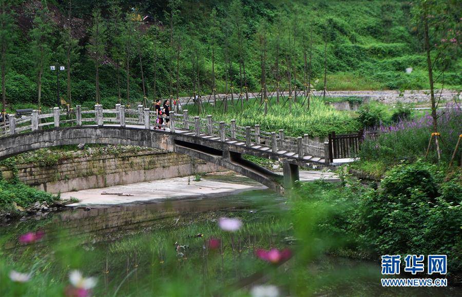 沙坪坝区今年经济总量是多少_沙坪坝区地图(2)