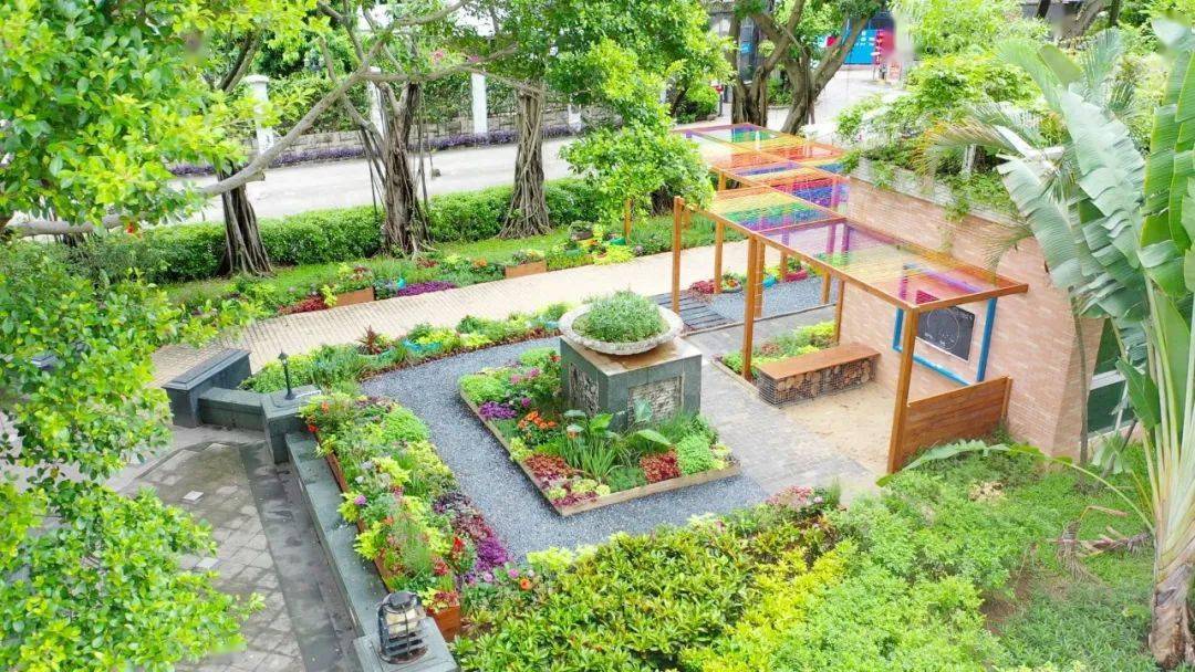 福田区社区共建花园4——益田花园点彩人家社区共建花园绚彩亮相