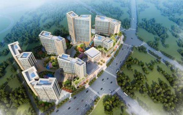 石狮凤里街道经济总量_石狮凤里庵图片
