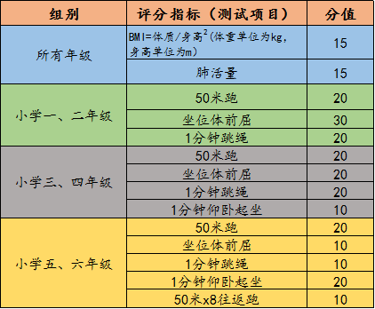 体质达标小学阶段国家体质健康测试评分标准及方法