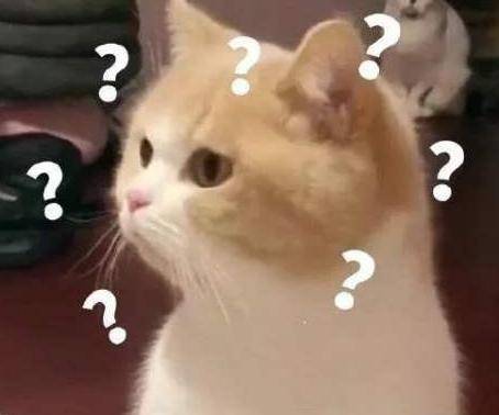 广东|微信哩个功能，原来系广东人专属！