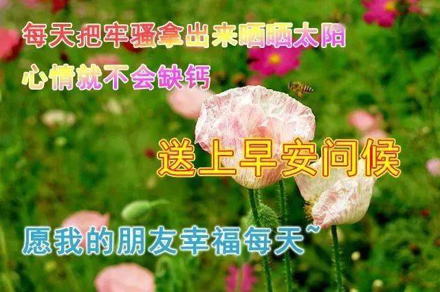 微信朋友圈特漂亮的早上好图片 早上好问候句子