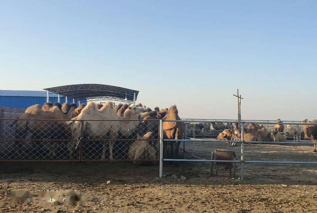 开云电竞官方网站_
普济、濟尤物系列产物入选《专精特新品牌名录》(图4)