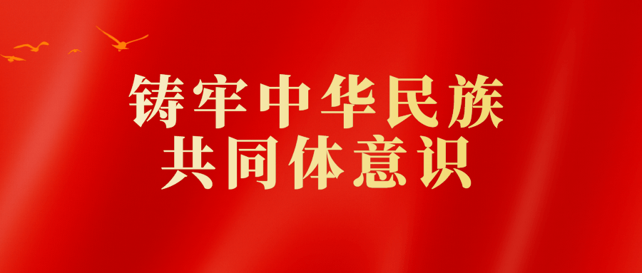 铸牢中华民族共同体意识 让中华民族共同体意识在高校根深叶茂