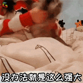 soogif  查询方式如下 1.