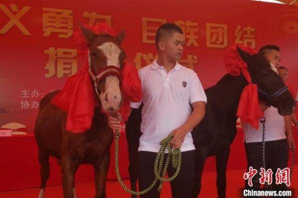 天马|新疆“天马”赠福建救人马主