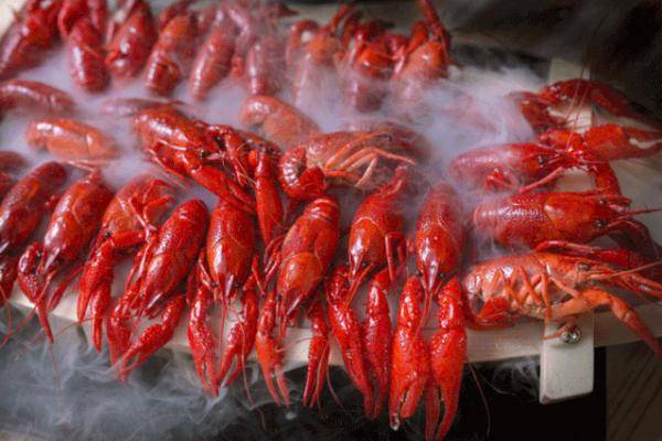 包辣|首个辣条专业班开班！网友：不说了，先给我来两包辣条