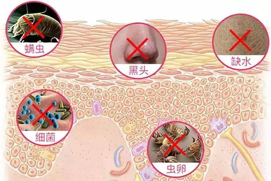潘达|日本20年老木头,经1300°高温烧成“变态黑炭”,几分钟溶掉黑头,太神奇!