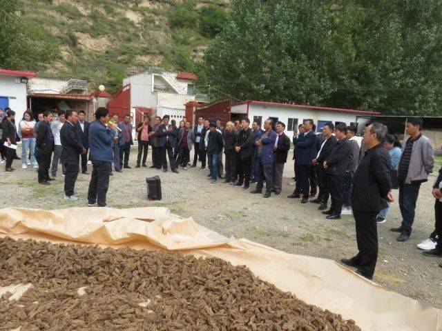 省农业农村厅帮扶岷县贫困村合作社带贫能力提升培训班顺利结束