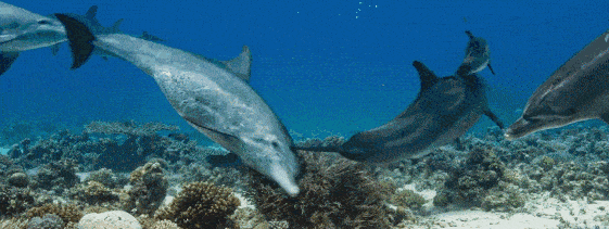 她一生未婚,却被逼怀孕杀子,背后真相是你想不到的可怕