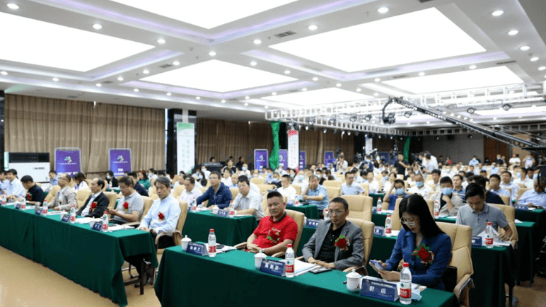 2020年晋城GDP_2020年晋城道路规划图(3)