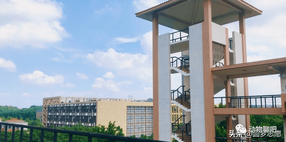 广东财经大学排名_广东财经大学(2)