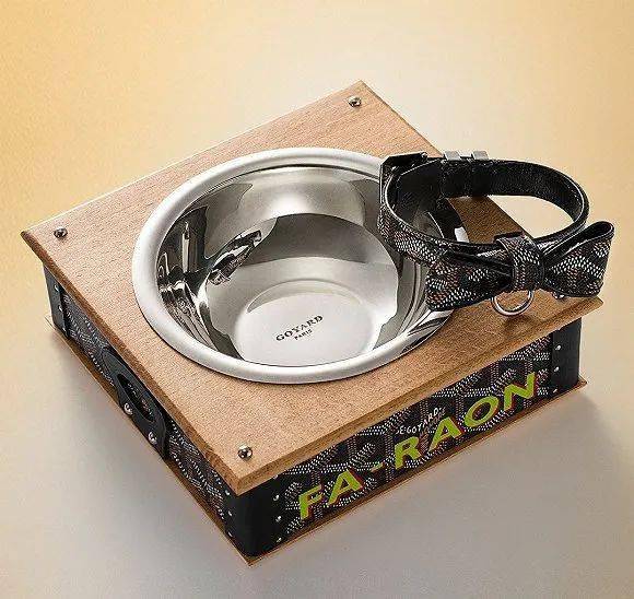 宠物|萌宠时尚｜毛孩子们时髦起来一点也不输主人！