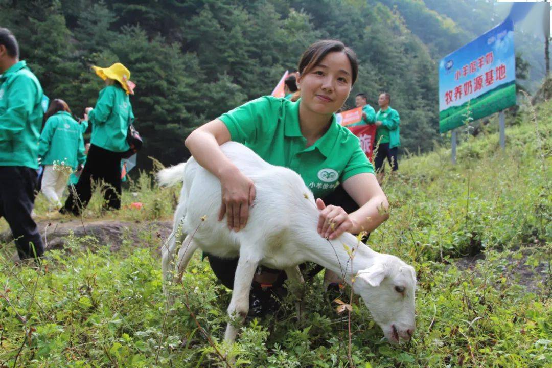 小羊倌2020年销售精英陕西之旅精彩回顾连载报道二