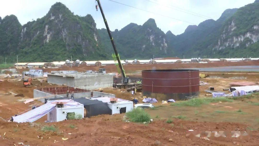 龙州经济总量_龙州旅游经济图片(3)