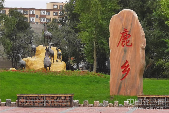 鹿乡镇.经济日报-中国经济网记者宋雅静/摄 鹿舍内的梅花鹿.