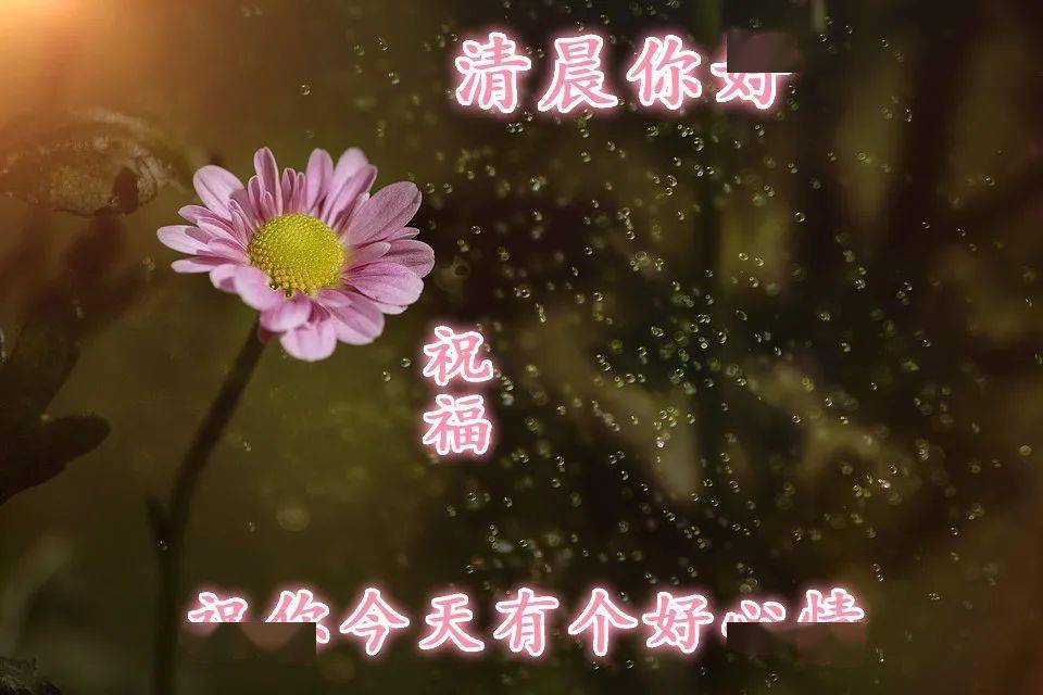4acad9a7f784474b8ff71c818262a787.jpeg