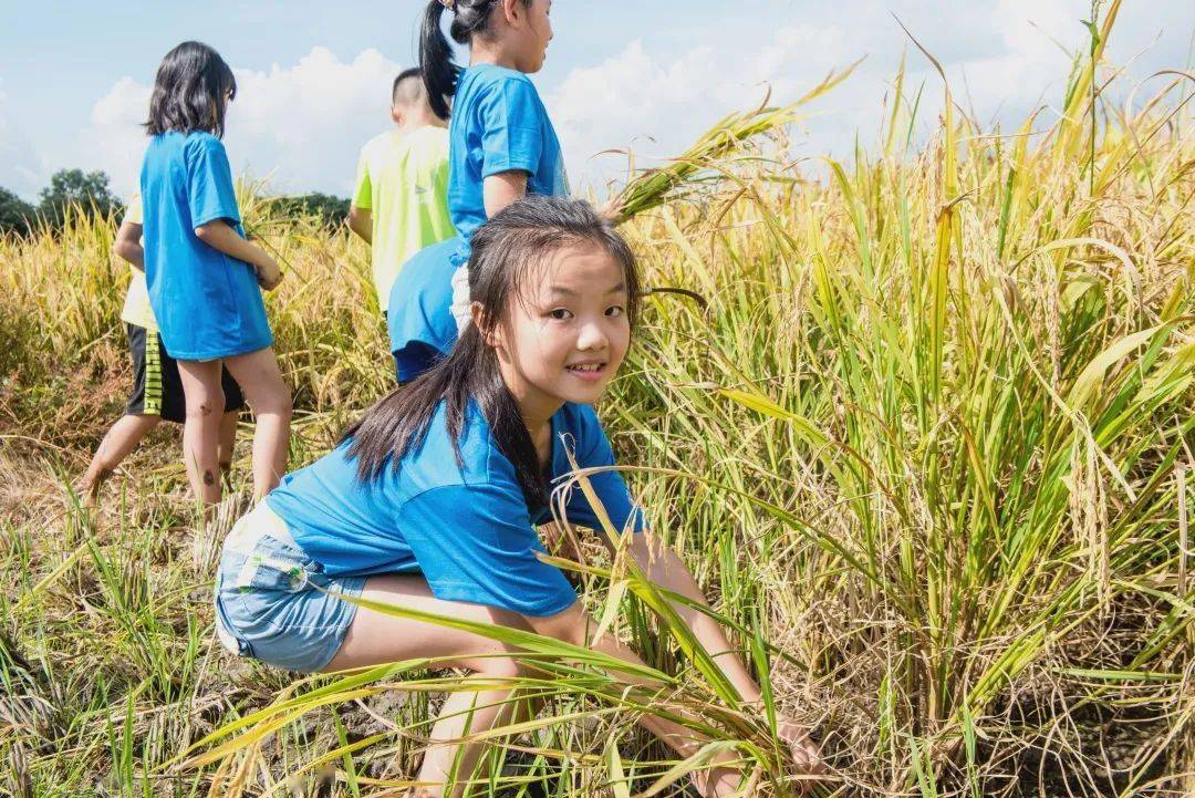 夏令营|回忆杀｜这个夏天，你在卓越夏令营留下了最灿烂的笑容