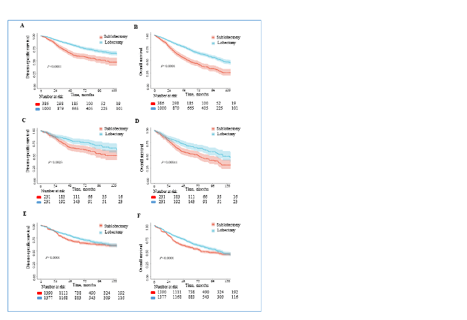 数据科学与大数据技术专业属于哪一类 8a65fd2ae3b24c90a7a3a82954b31afe.png