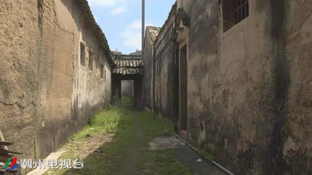 依兰爱情故事伴奏曲谱
