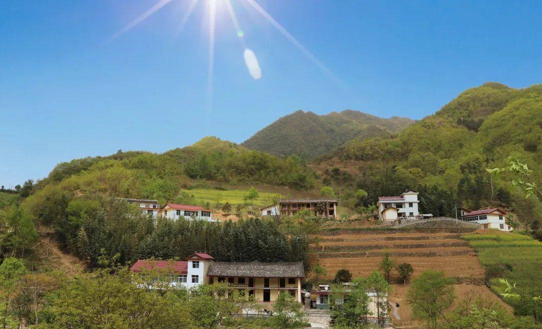 康县有多少人口_康县到略阳高速规划图(3)