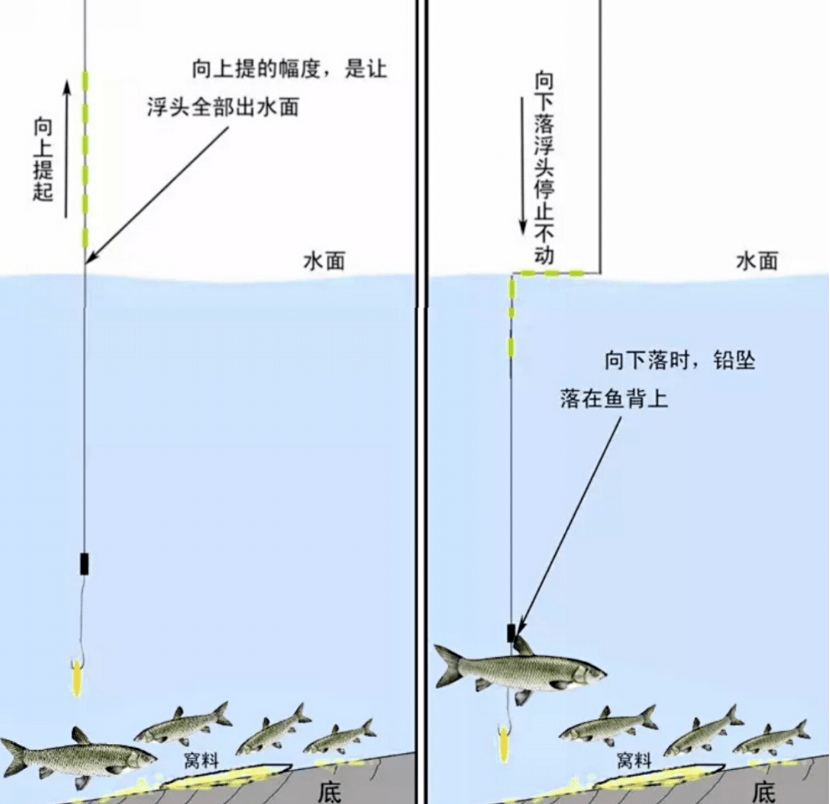 钓不到鱼的时候试试这种老祖宗留下来的钓法逗钓