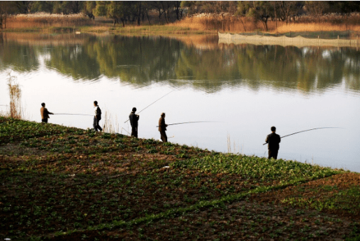 鱼儿|秋季野钓纠结选位？看完这篇就不纠结了