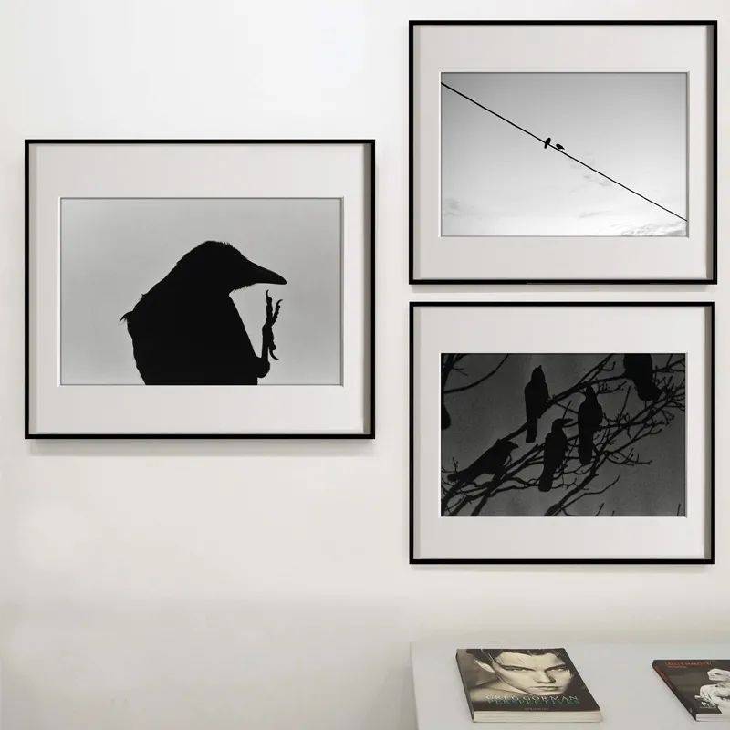 照片|显穷大白墙+网红装饰画=悲剧！