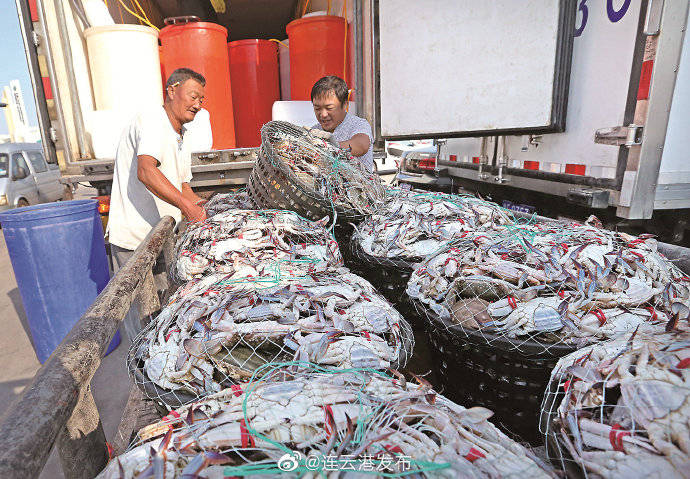 上岸|连云港海产品上市！