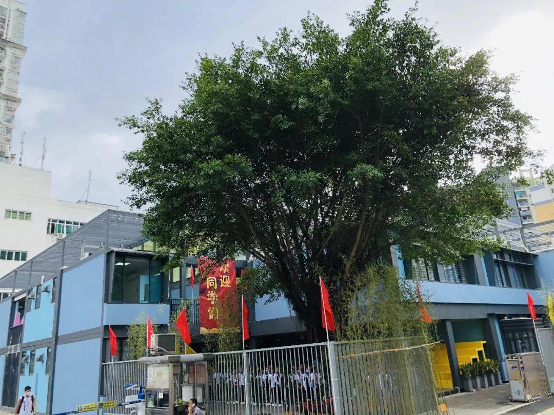 翠园东晓中学南校区启用今秋罗湖已有5所高科技预制学校投入使用