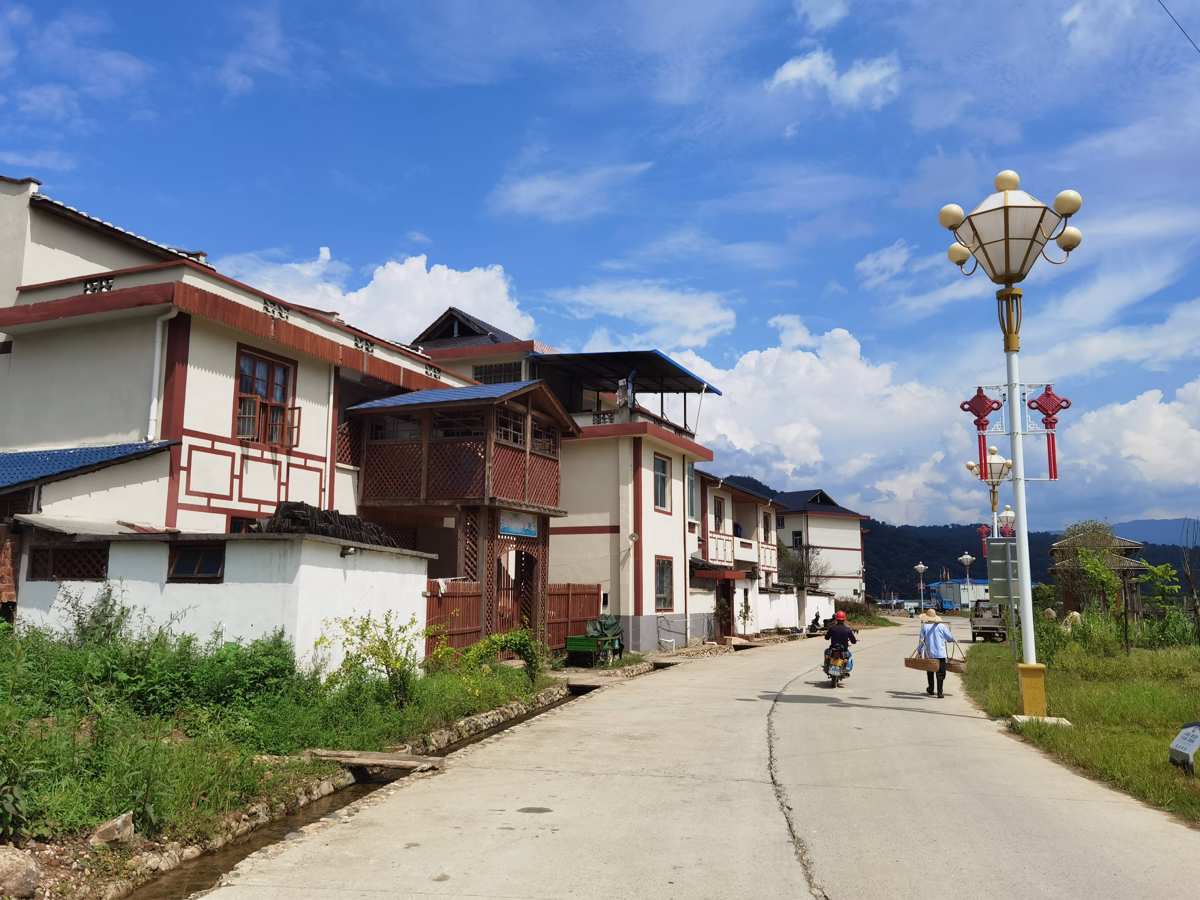 革命老区村的绿色发展之路——福建常口村见闻_将乐县