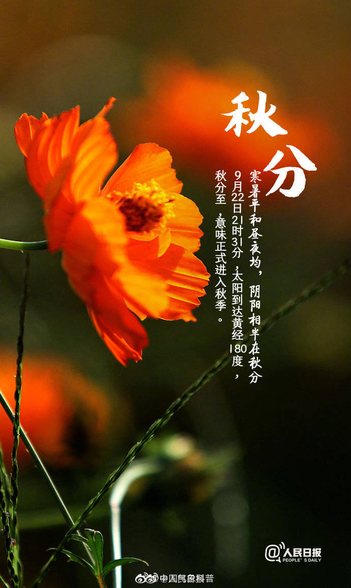 8dd6086346ff4fe88577105e40f8b29a.jpeg