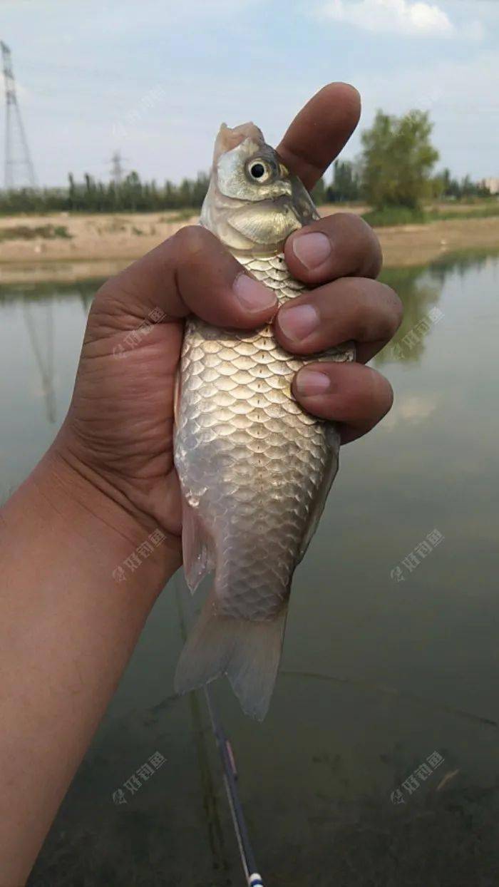 a09af57ad411415bb7b3fceb18ac71c5.jpeg