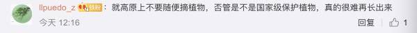 综艺嘉宾“摘雪莲”惹众怒,快来认识这些植物,避免踩雷!