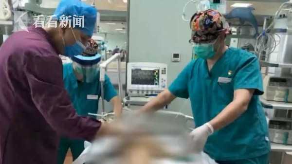 孩子|两只马犬寄养家中 没想到2岁孩子遭生扑疯狂撕咬