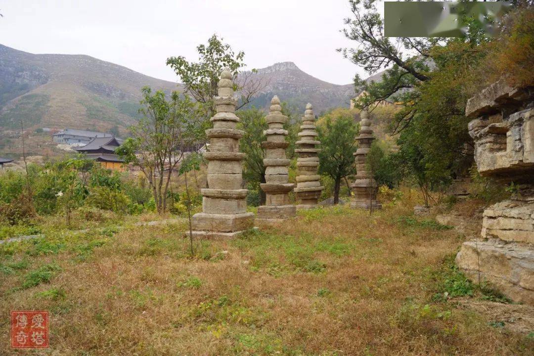 原创山东青州广福寺塔林