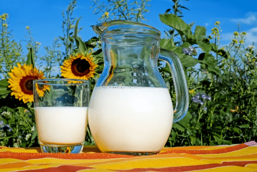 乳酸菌饮料是什么意思 54b32348f7a340529132e98fb1ad6c0a.png