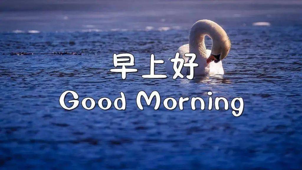 特漂亮的美女早安问候表情图片 早上好发朋友圈动态祝福图片大全